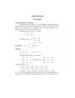 Chapter Four Determinant.pdf